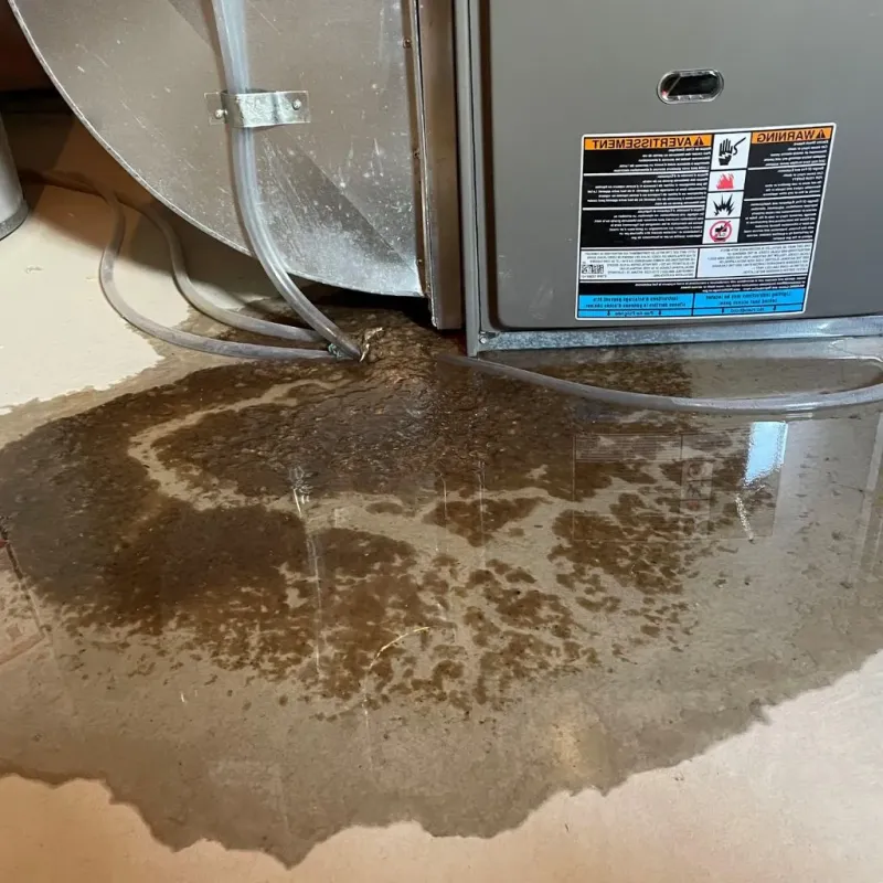 Pipe Burst and Leak Restoration in Neodesha, KS