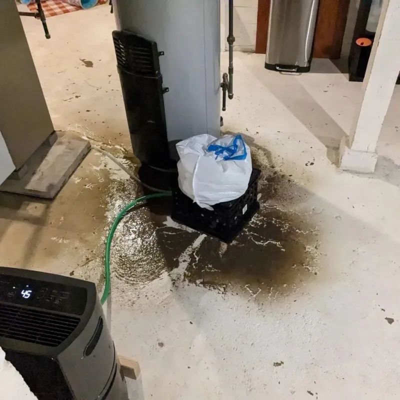 Sewage Backup Cleanup Service in Neodesha, KS